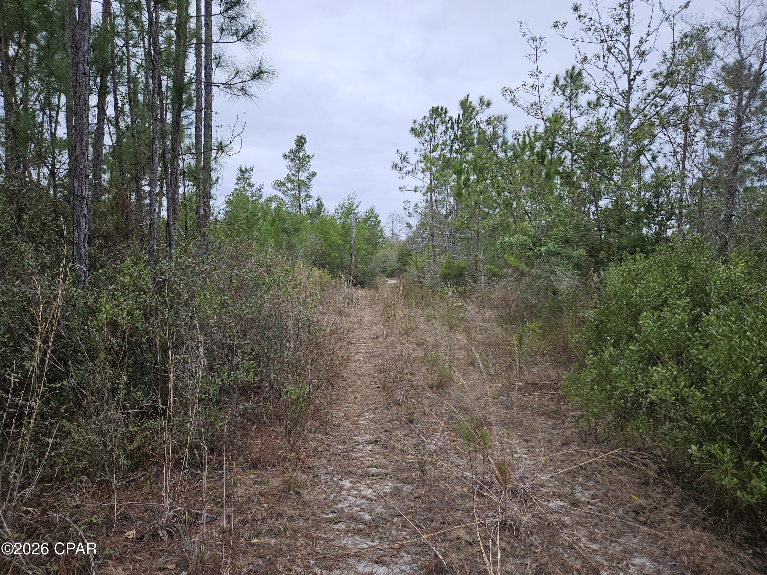 0 Singer Road Youngstown, FL 32466 - Photo 1 of 7