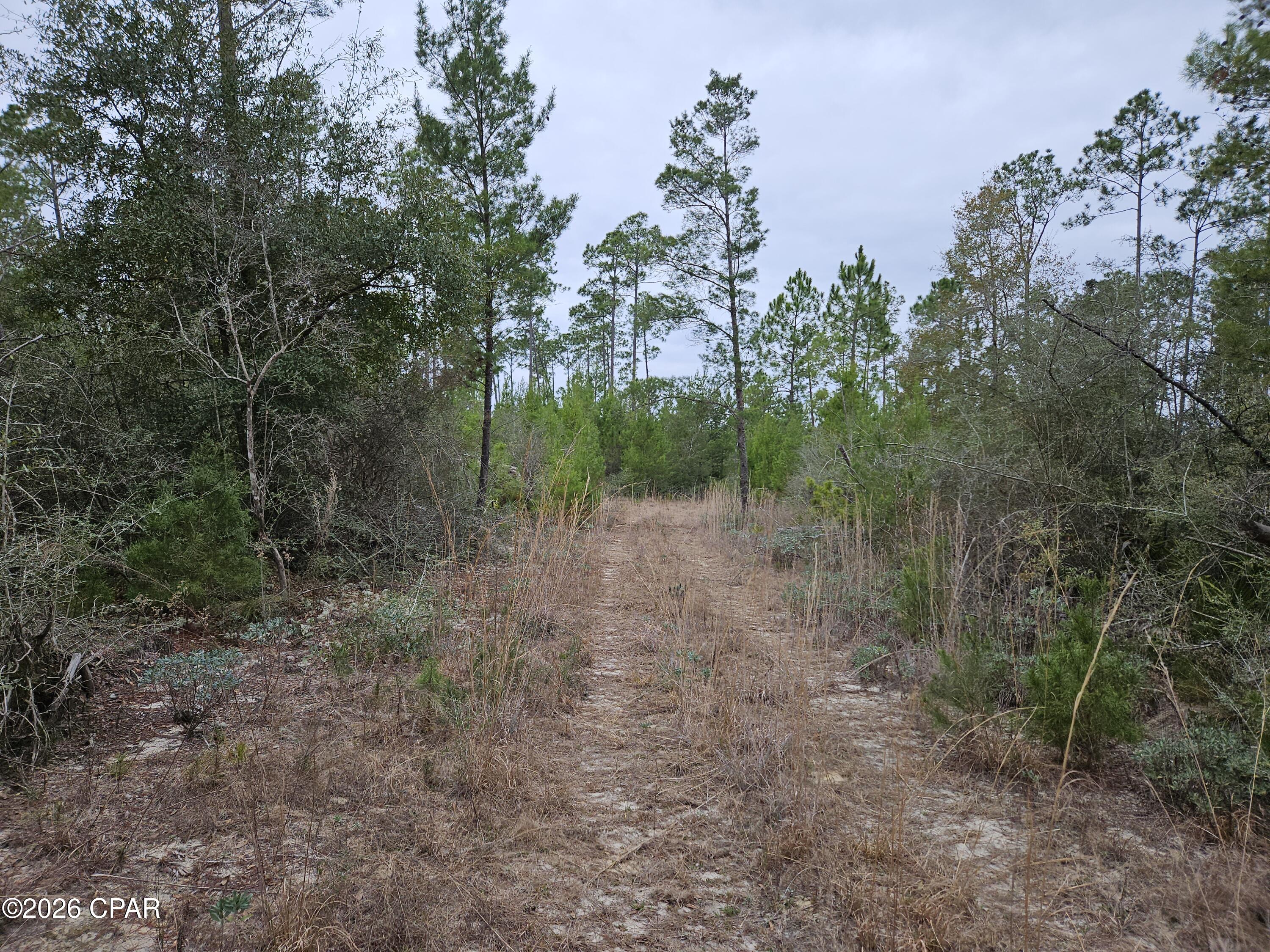 0 Singer Road Youngstown, FL 32466 - Photo 2 of 7