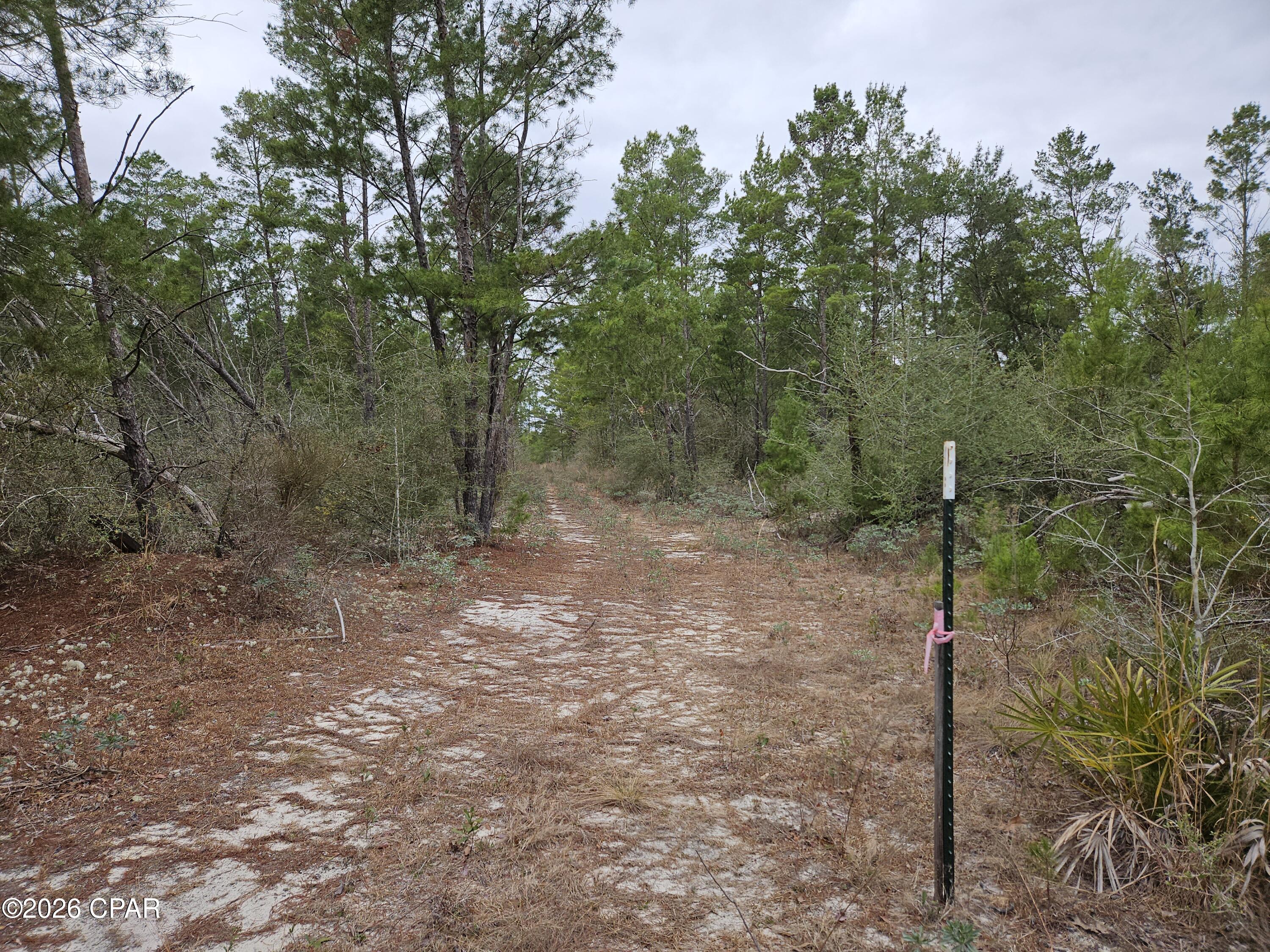 0 Singer Road Youngstown, FL 32466 - Photo 3 of 7