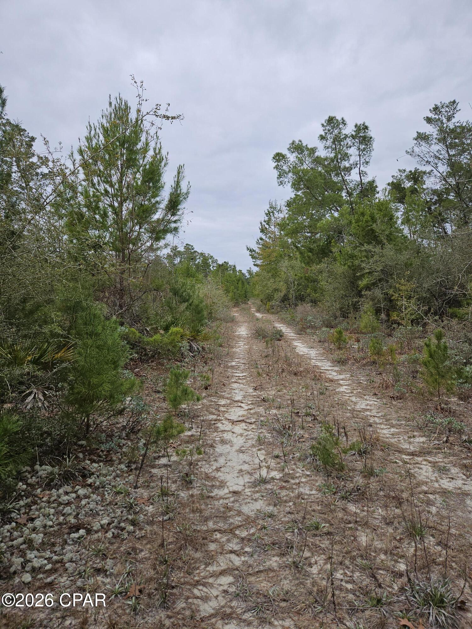 0 Singer Road Youngstown, FL 32466 - Photo 4 of 7