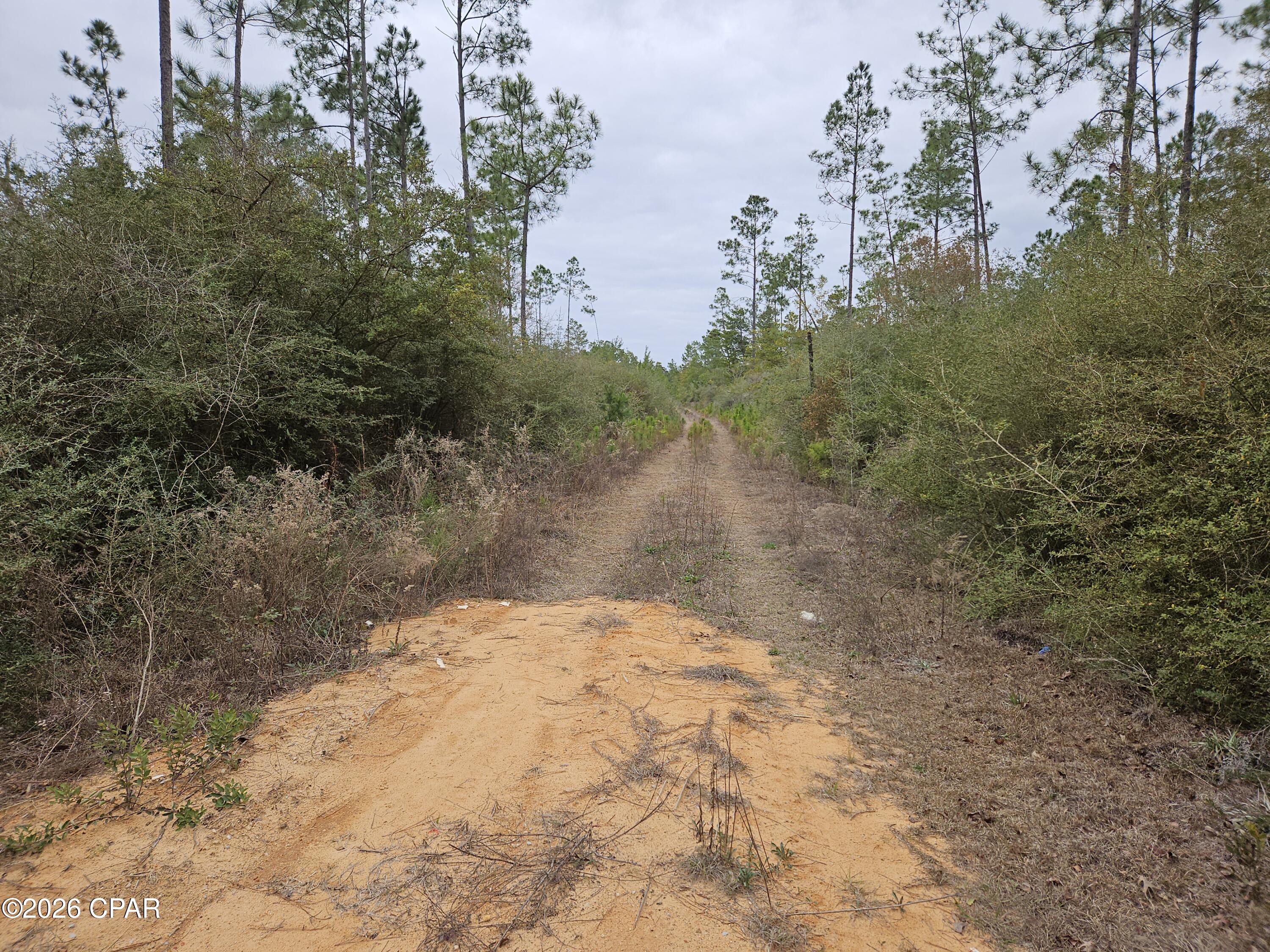 0 Singer Road Youngstown, FL 32466 - Photo 5 of 7