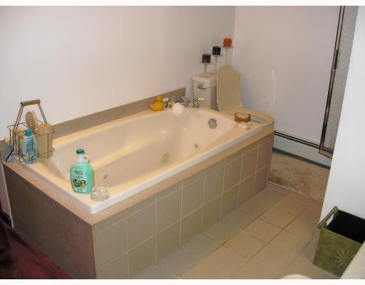 5118 McAnulty Road Baldwin, PA 15236 - Photo 6 of 8 Master Bath/Spa.