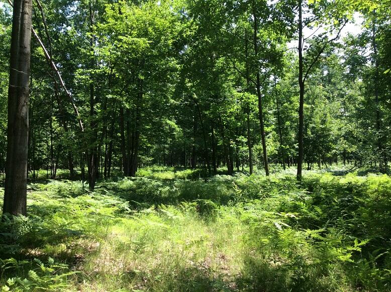 3800 South Castor Road Coleman, MI 48618 - Photo 19 of 34