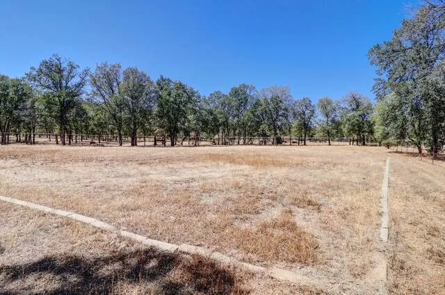a view of a lush green hillside and houses