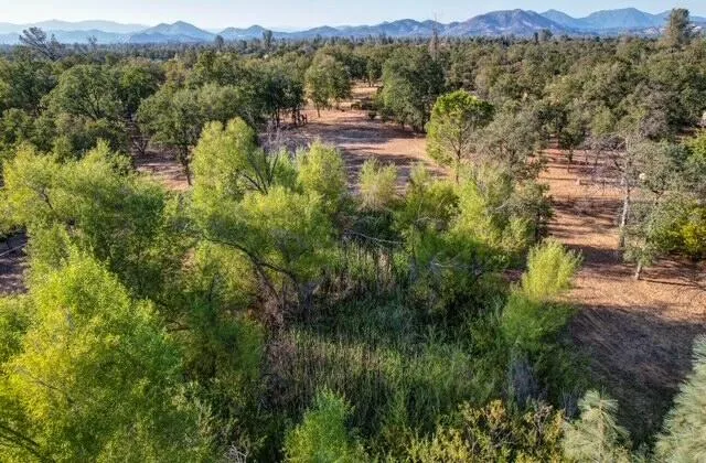 a view of a wrought iron gate