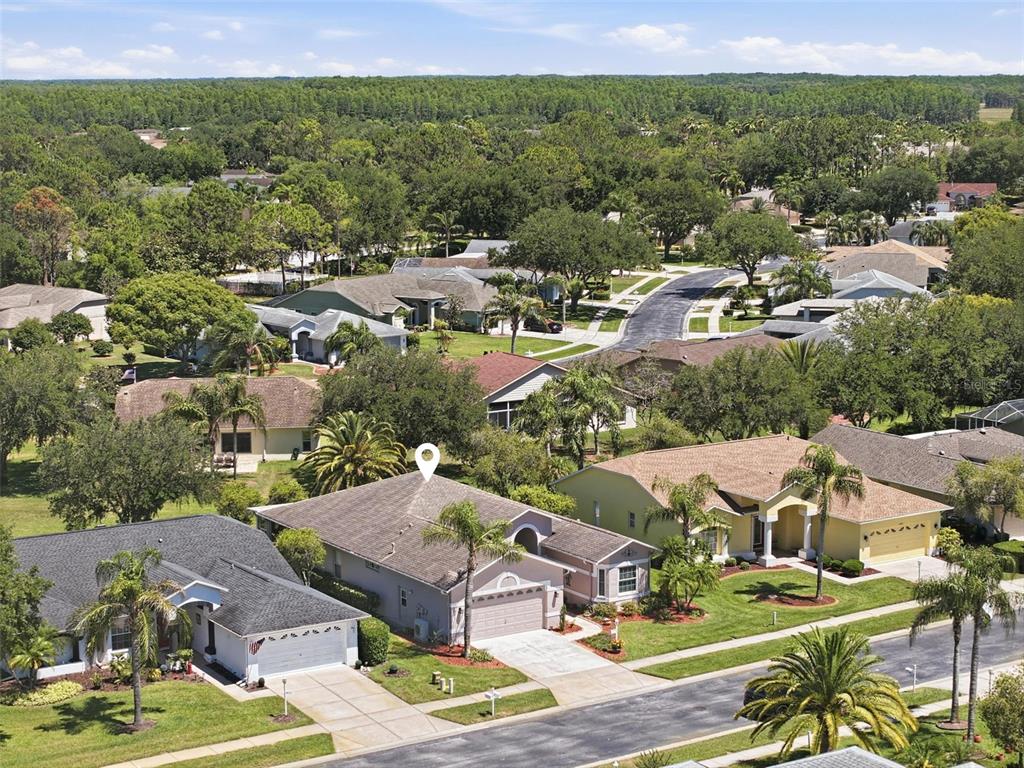 1430 Canberley Court Trinity, FL 34655 - Photo 50 of 66