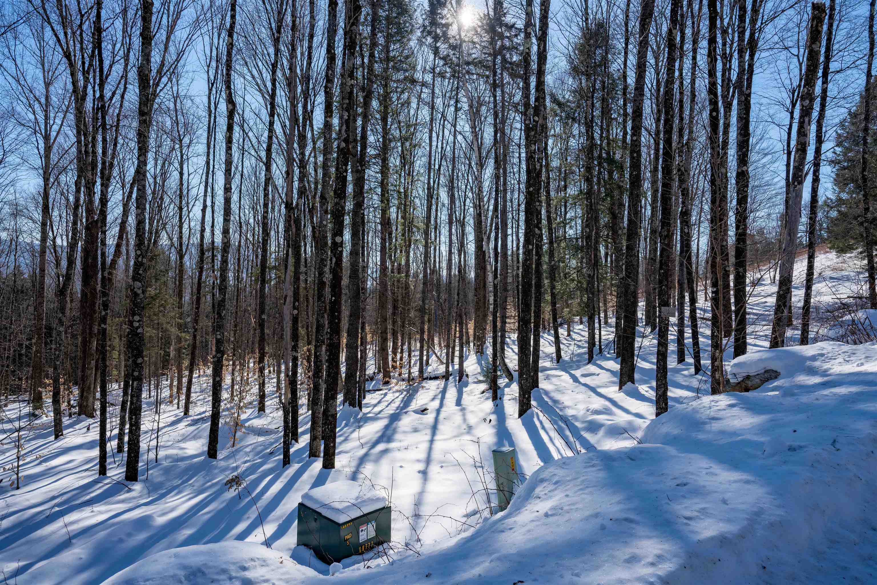 0 Terrafay Road, Unit LOT #2 Moretown, VT 05660 - Photo 5 of 8