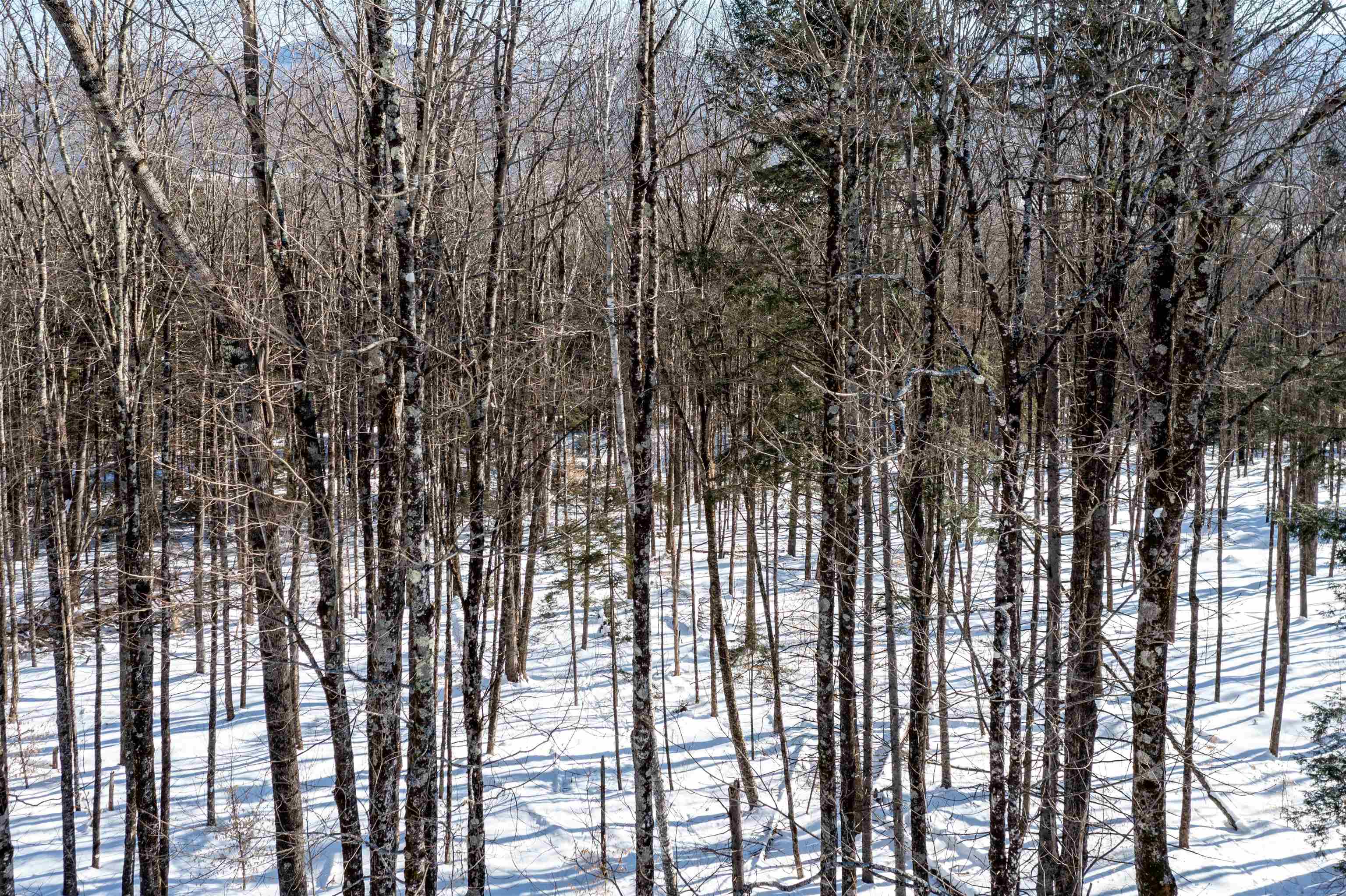 0 Terrafay Road, Unit LOT #2 Moretown, VT 05660 - Photo 6 of 8