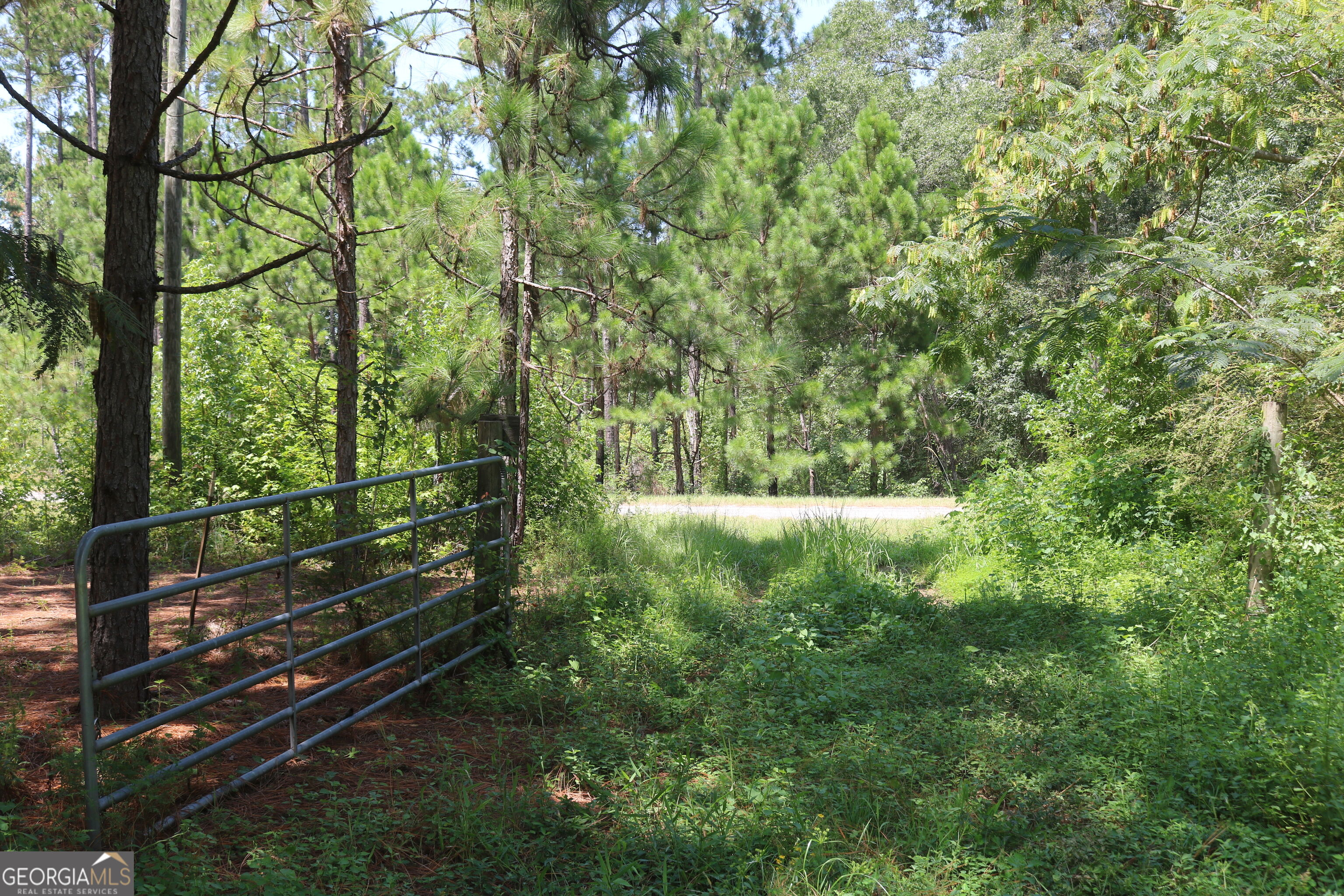 0 Barentine Road Rochelle, GA 31079 - Photo 35 of 38 Gallery Image 35
