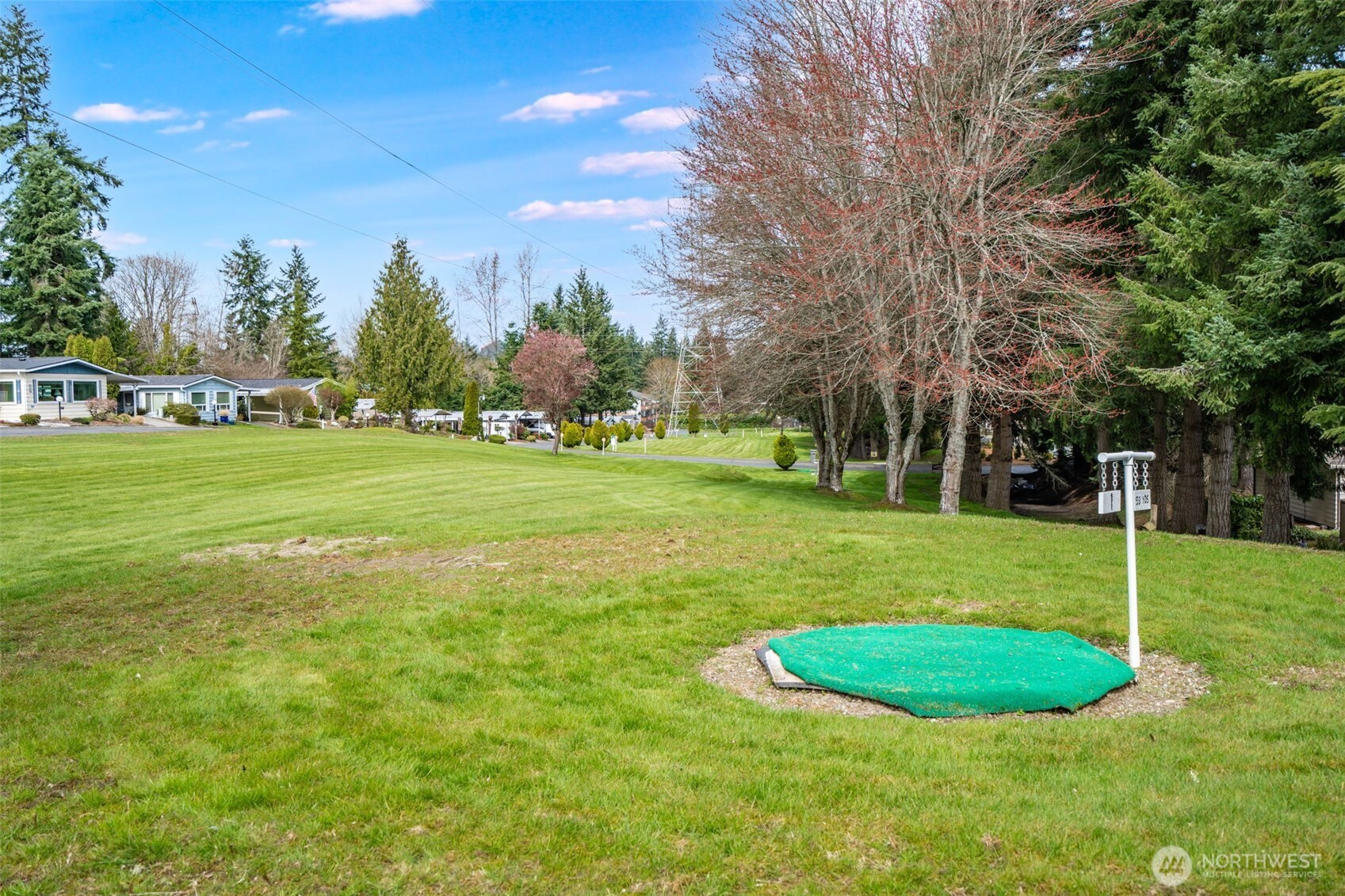201 Union Avenue Southeast, Unit 111 Renton, WA 98059 - Photo 38 of 40 a view of a big yard with a fountain and large trees