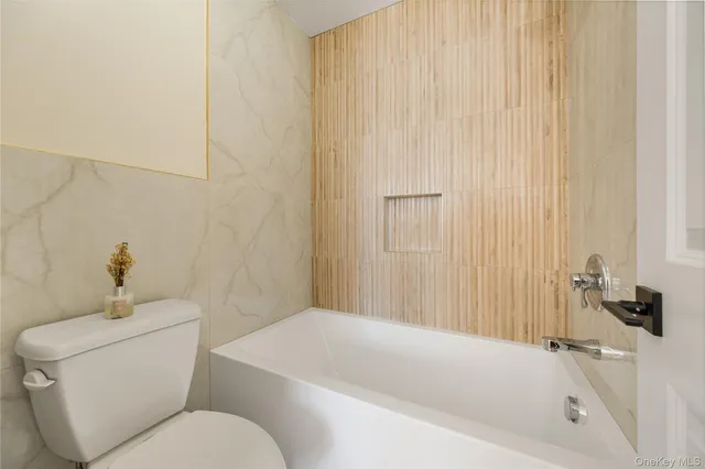 a bathroom with a toilet and a bathtub