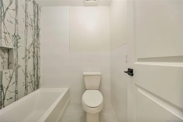 a bathroom with a toilet and a bathtub