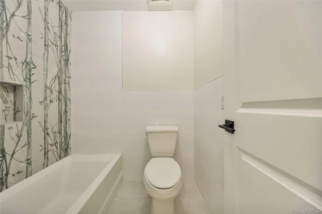 a bathroom with a toilet and a bathtub