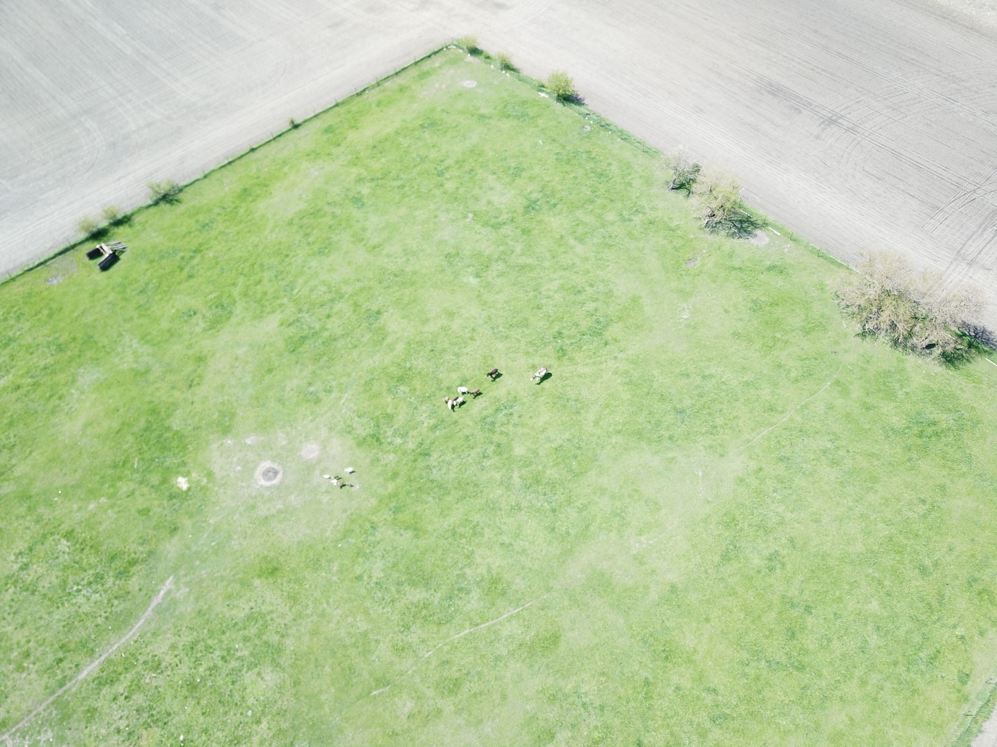 22503 2800th Road North Odell, IL 60460 - Photo 27 of 30 a view of a garden