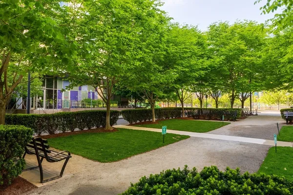 a view of a park with plants and trees