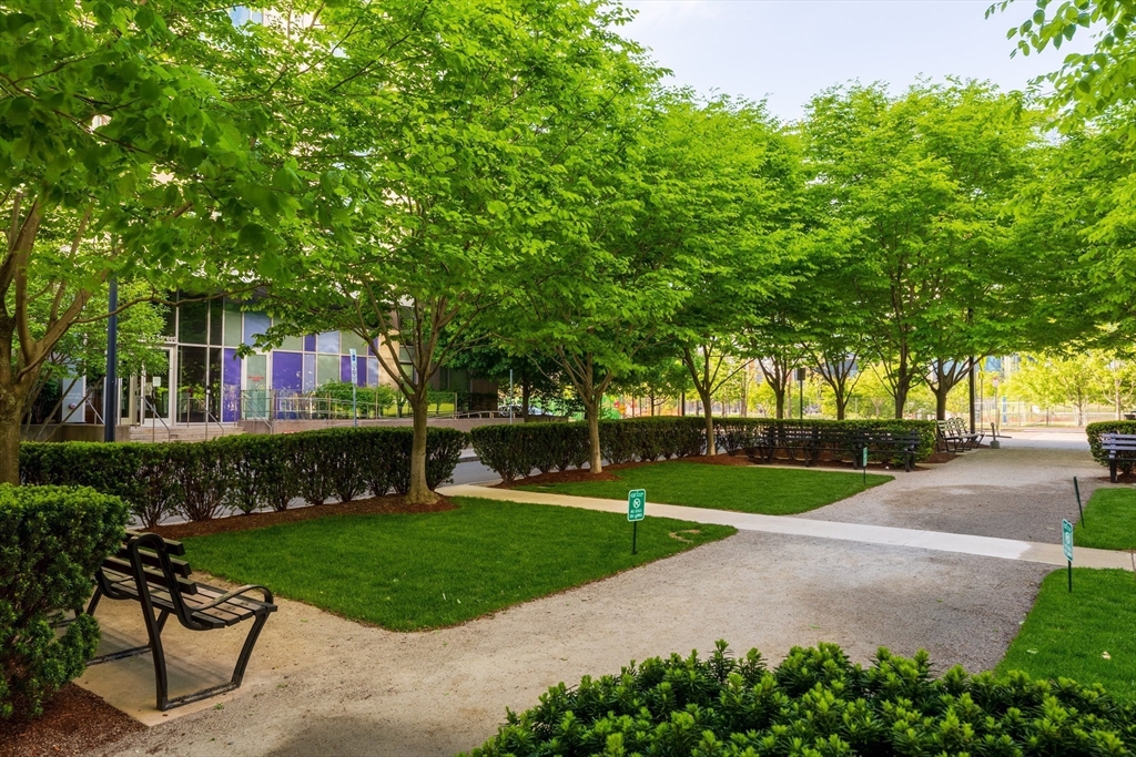 2 Earhart Street, Unit 202 Cambridge, MA 02141 - Photo 10 of 15