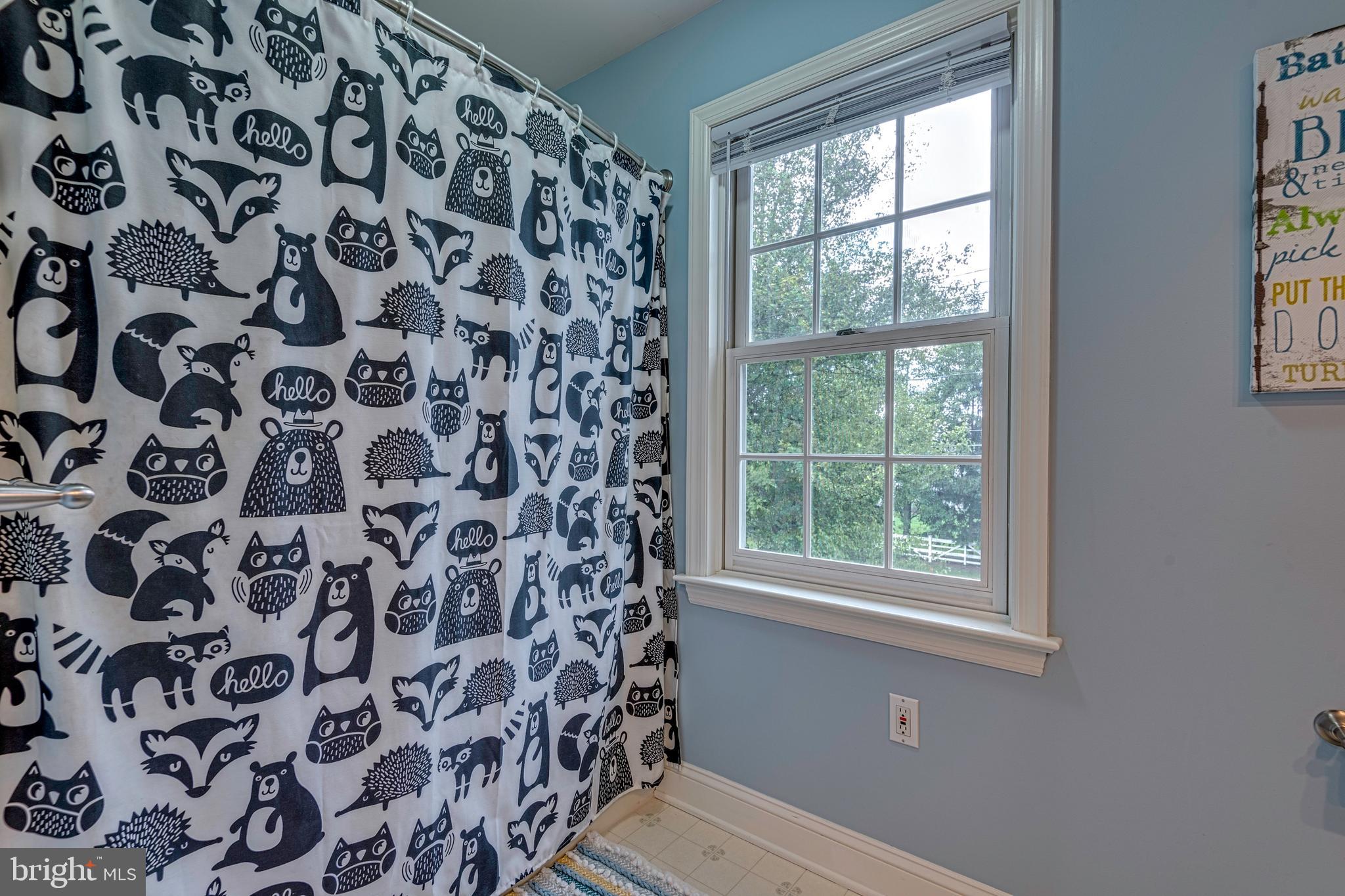 3013 Nolt Road Lancaster, PA 17601 - Photo 48 of 72 Gallery Image 48