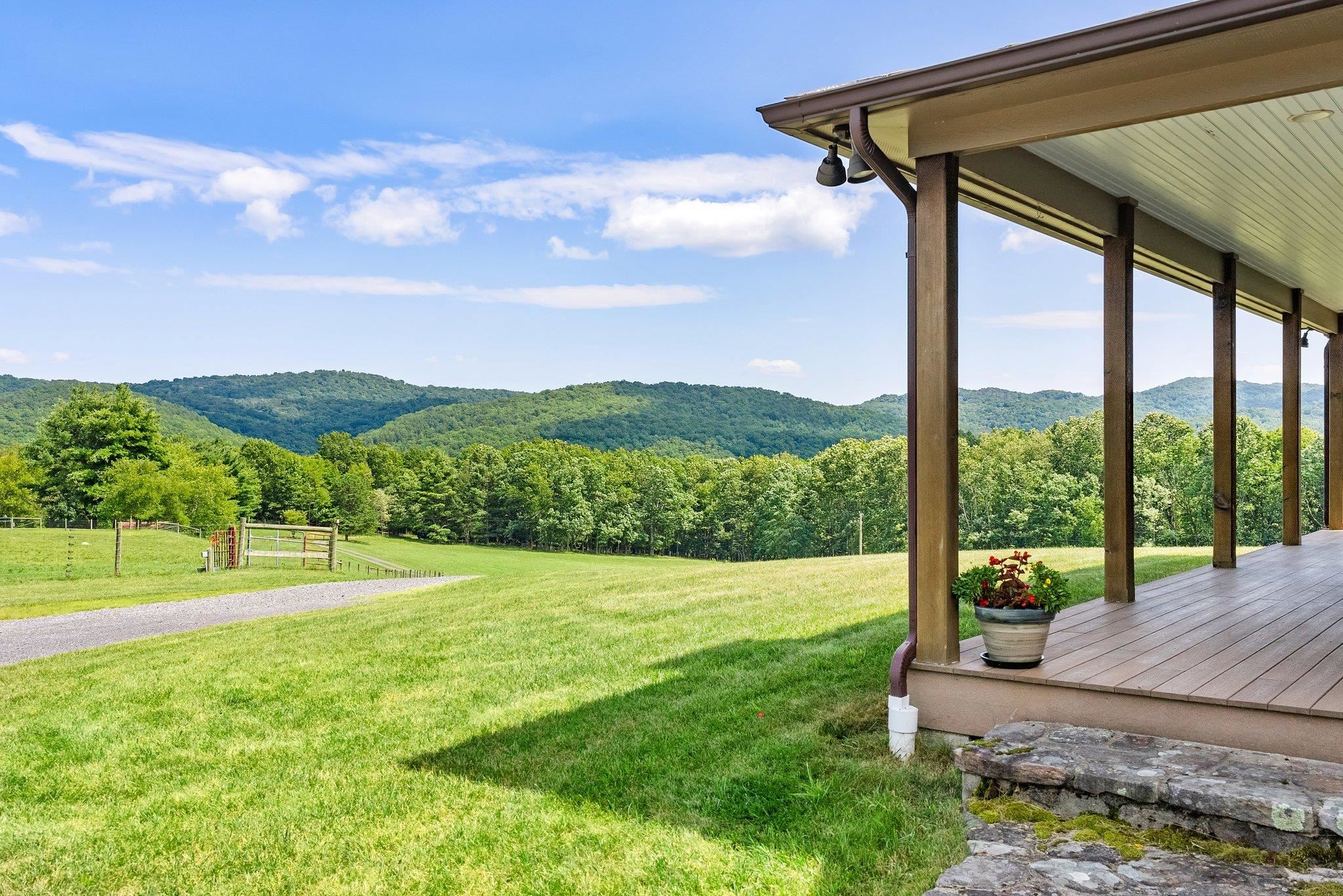 5237 Doe Hill Road McDowell, VA 24458 - Photo 15 of 75 a view of a big yard with potted plants and palm trees