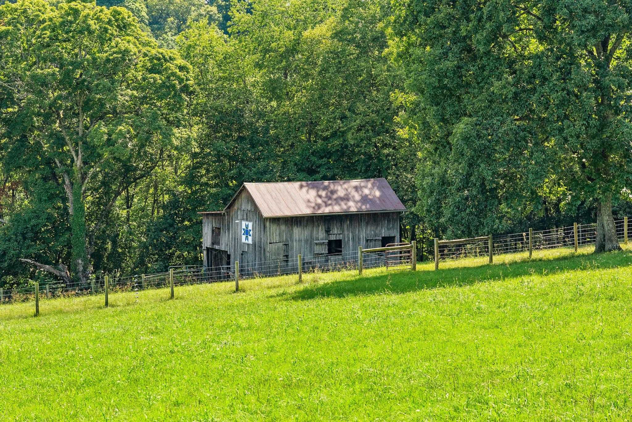 5237 Doe Hill Road McDowell, VA 24458 - Photo 70 of 75 a view of a house with a backyard and a tree