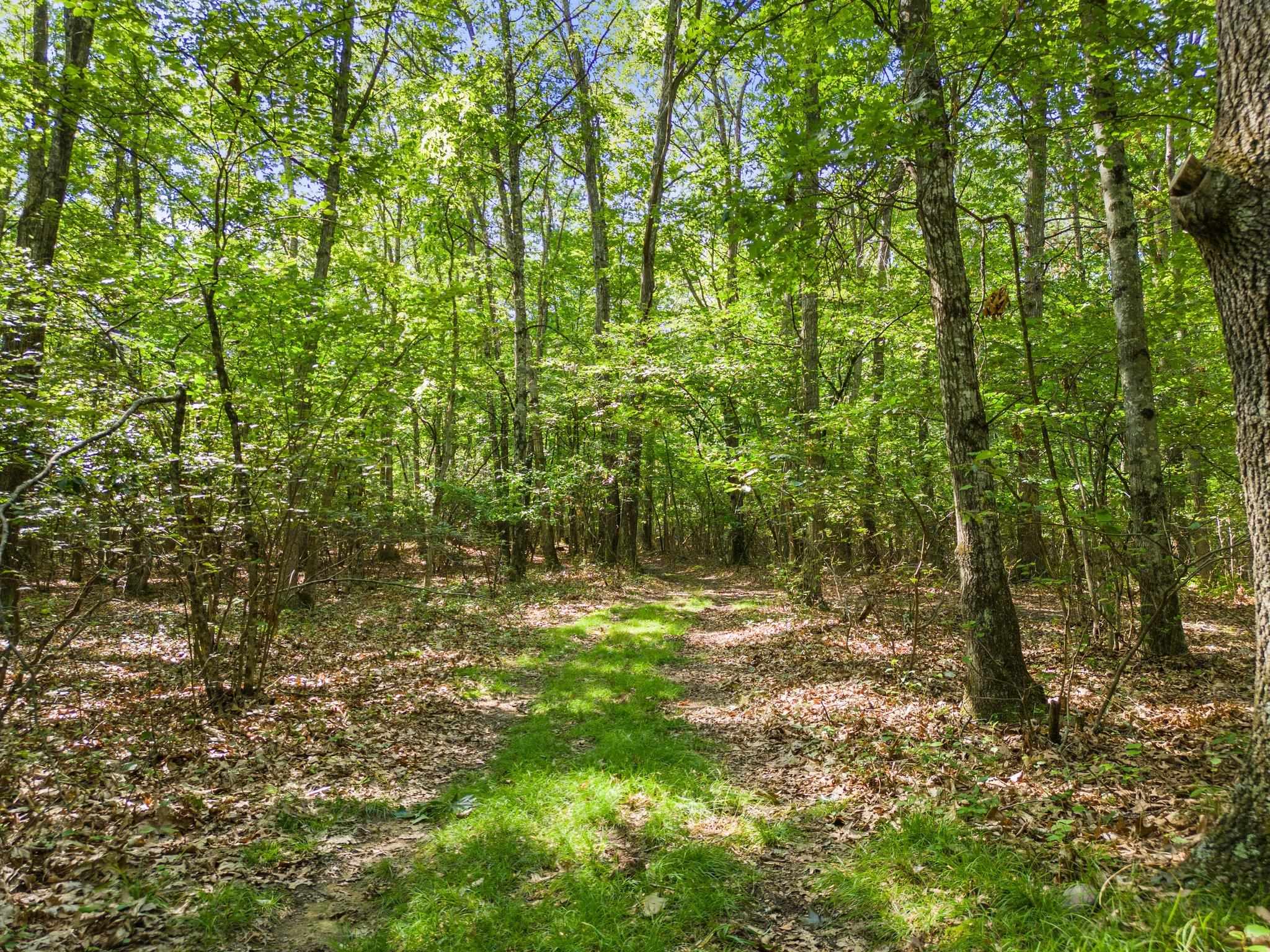 5237 Doe Hill Road McDowell, VA 24458 - Photo 71 of 75