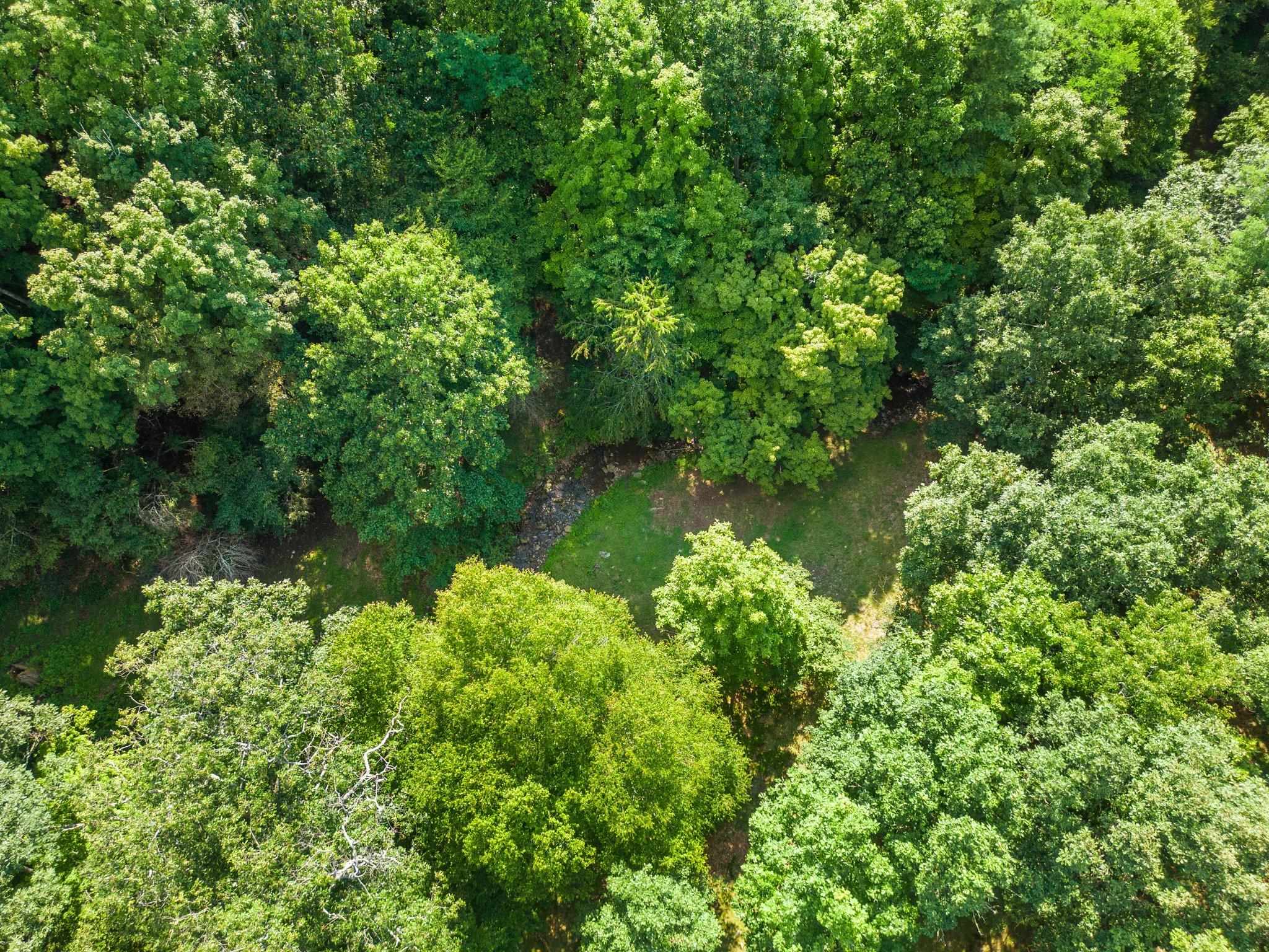 5237 Doe Hill Road McDowell, VA 24458 - Photo 72 of 75