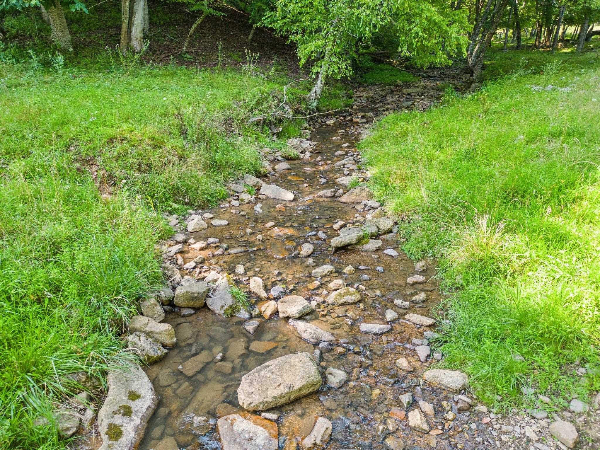 5237 Doe Hill Road McDowell, VA 24458 - Photo 73 of 75 a backyard of a house with lots of green space and trees all around