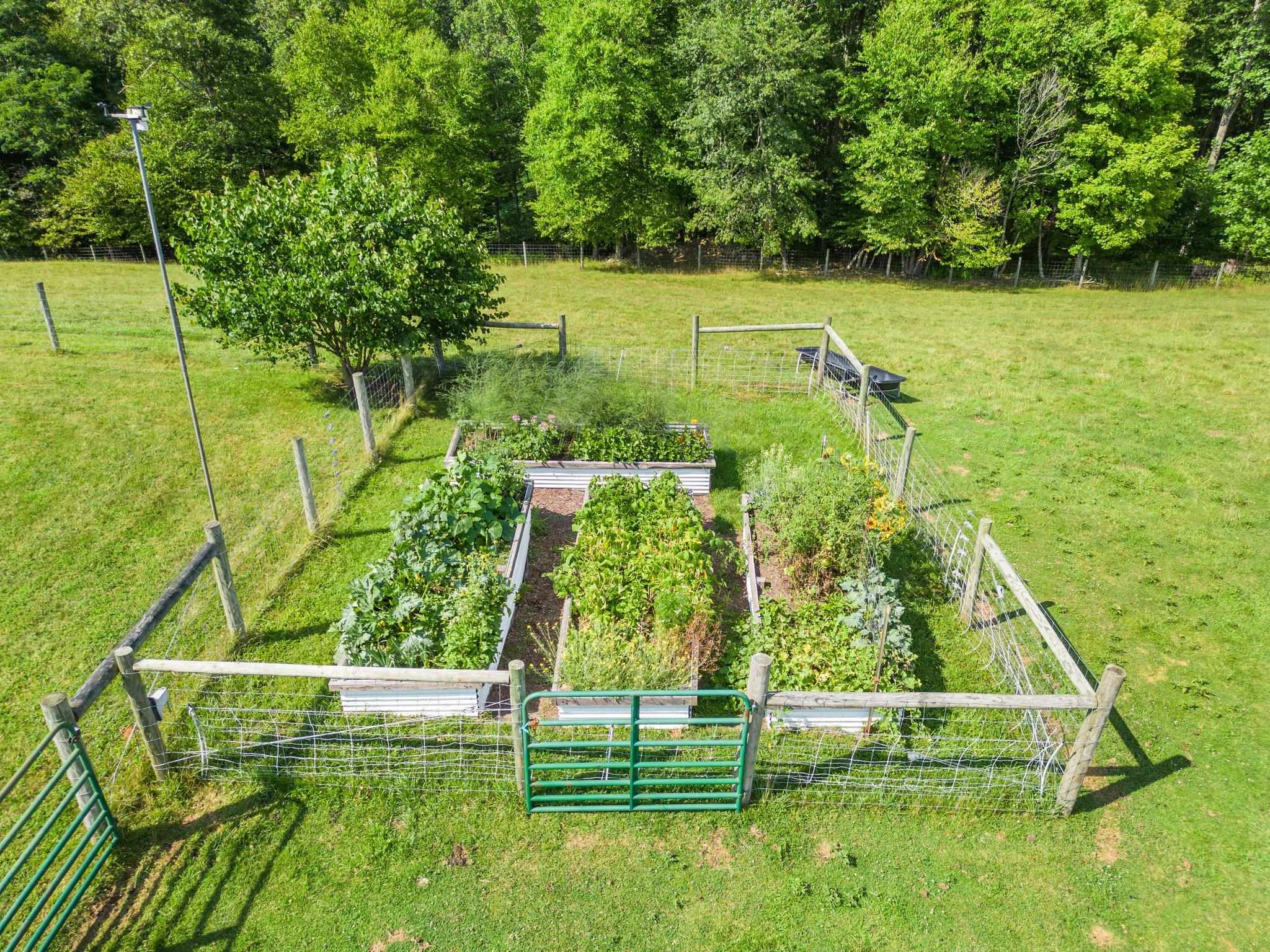 5237 Doe Hill Road McDowell, VA 24458 - Photo 74 of 75