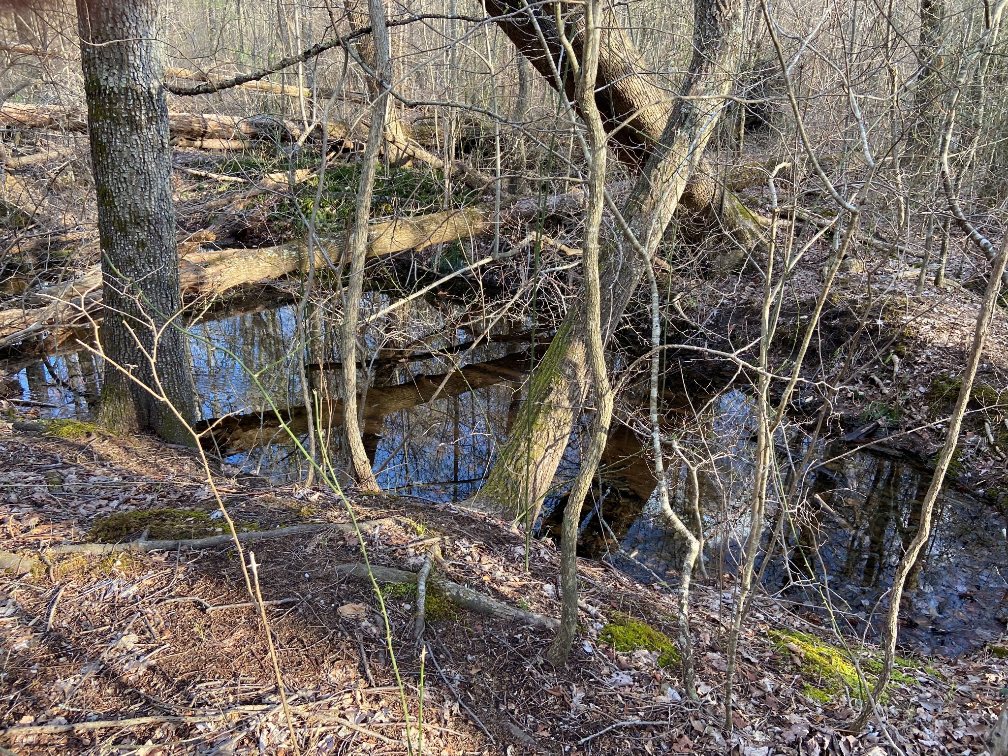 0 Bluffs At Rocky Ridge Sparta, TN 38583 - Photo 1 of 25