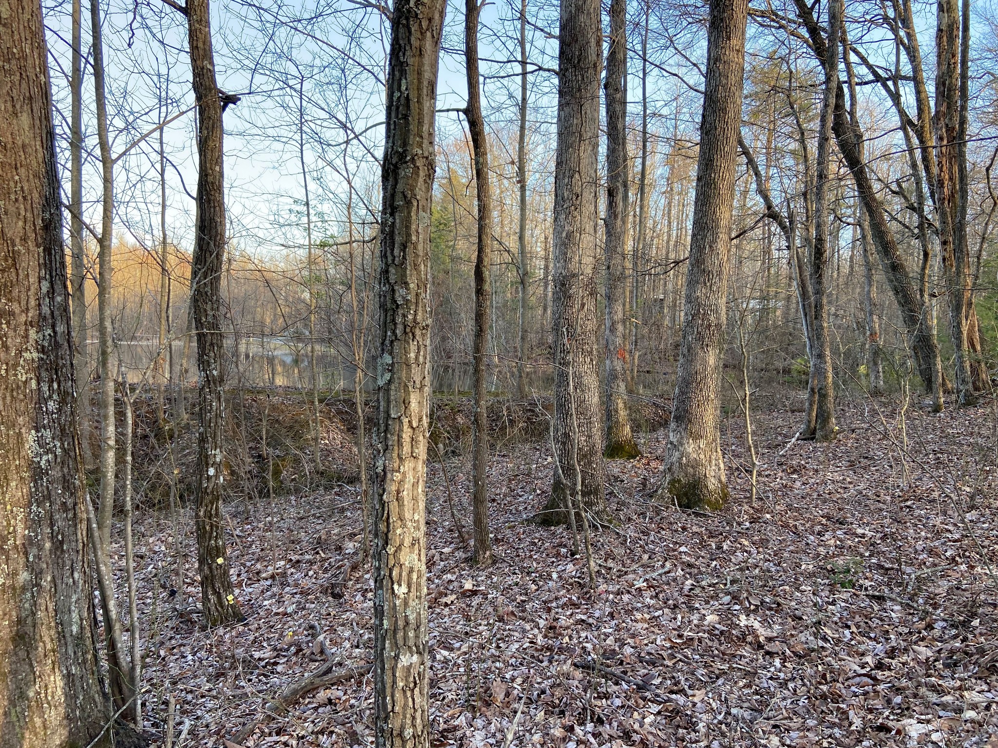 0 Bluffs At Rocky Ridge Sparta, TN 38583 - Photo 3 of 25