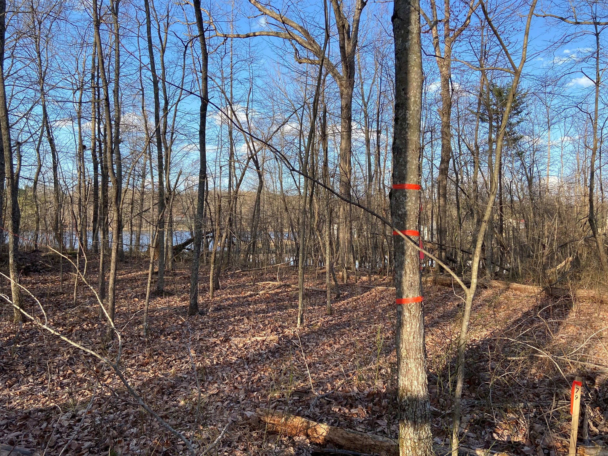 0 Bluffs At Rocky Ridge Sparta, TN 38583 - Photo 4 of 25