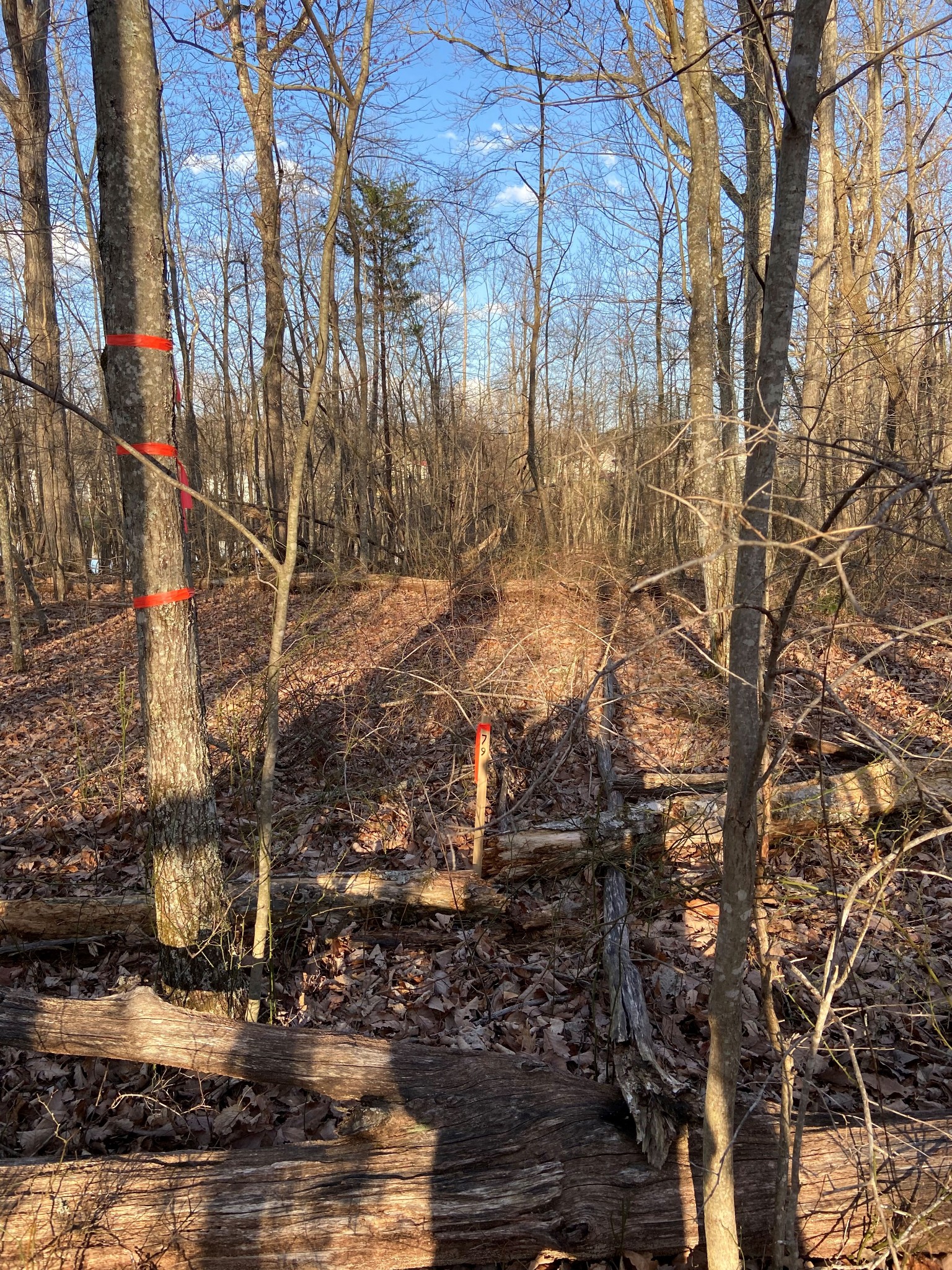 0 Bluffs At Rocky Ridge Sparta, TN 38583 - Photo 5 of 25