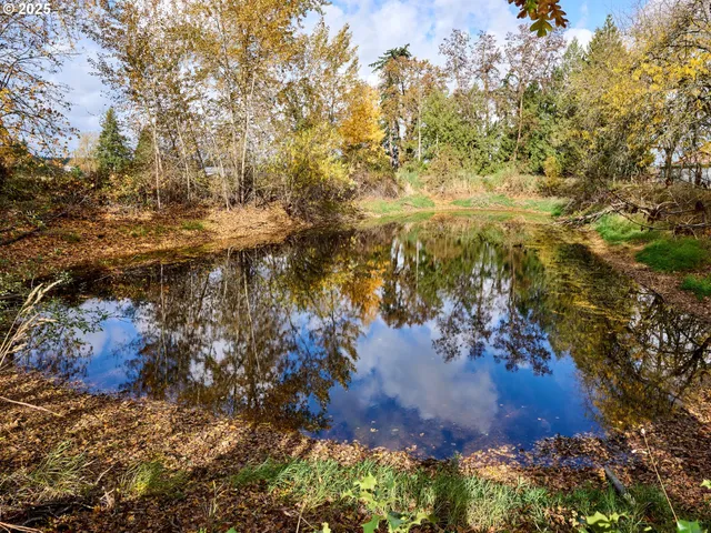 a view of a back yard of the house