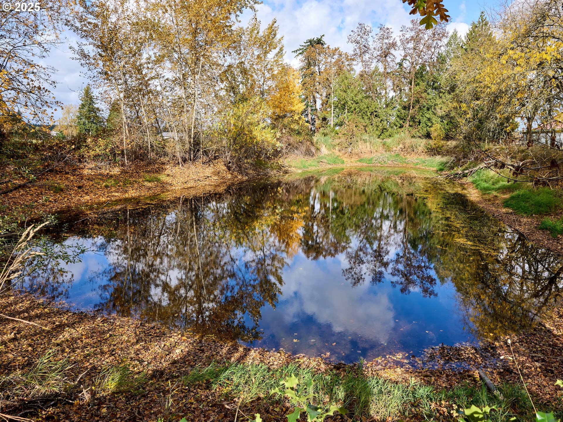 13595 South Warrick Road Molalla, OR 97038 - Photo 36 of 48