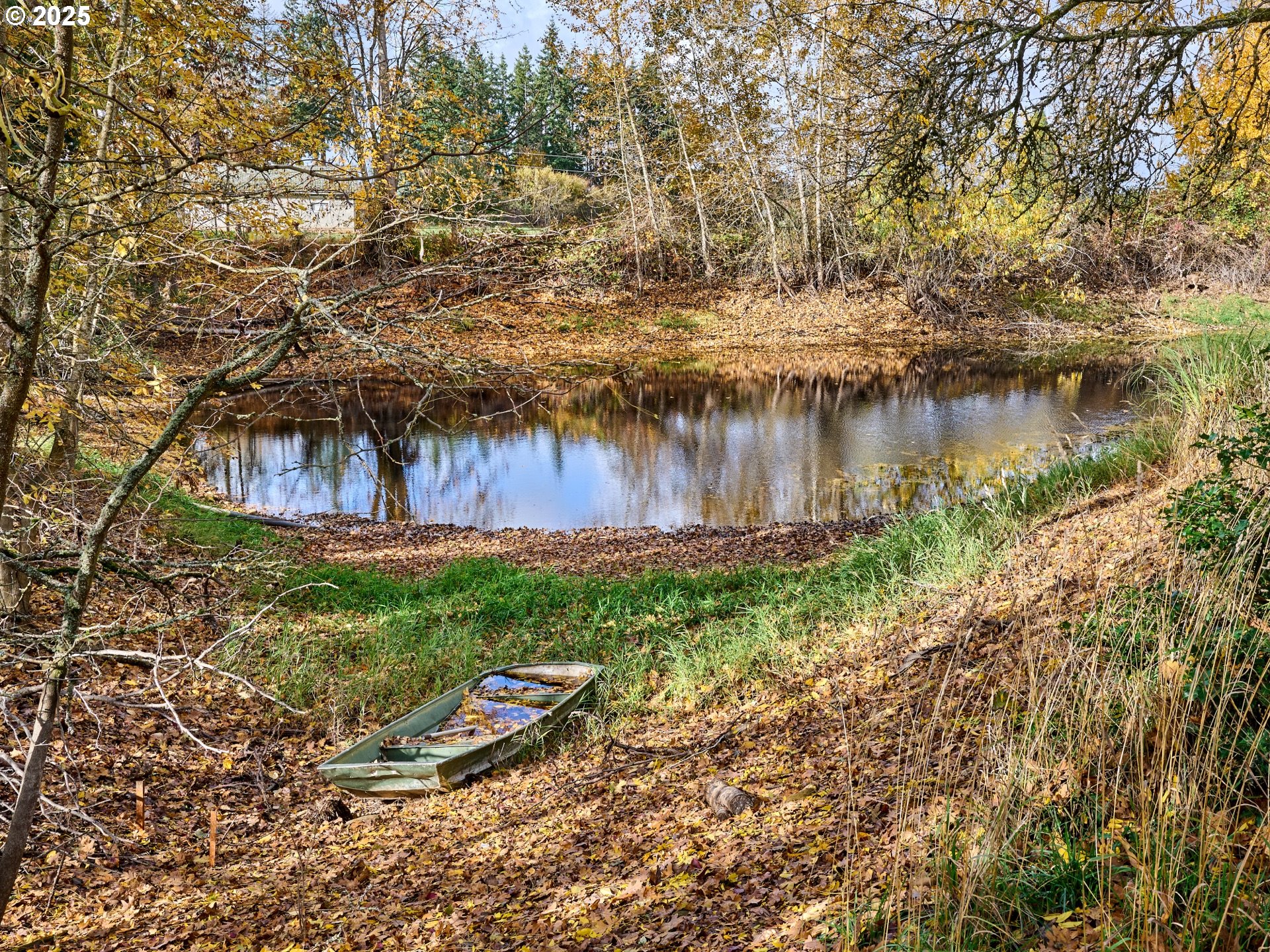 13595 South Warrick Road Molalla, OR 97038 - Photo 37 of 48 a backyard of a house with lots of green space and fog