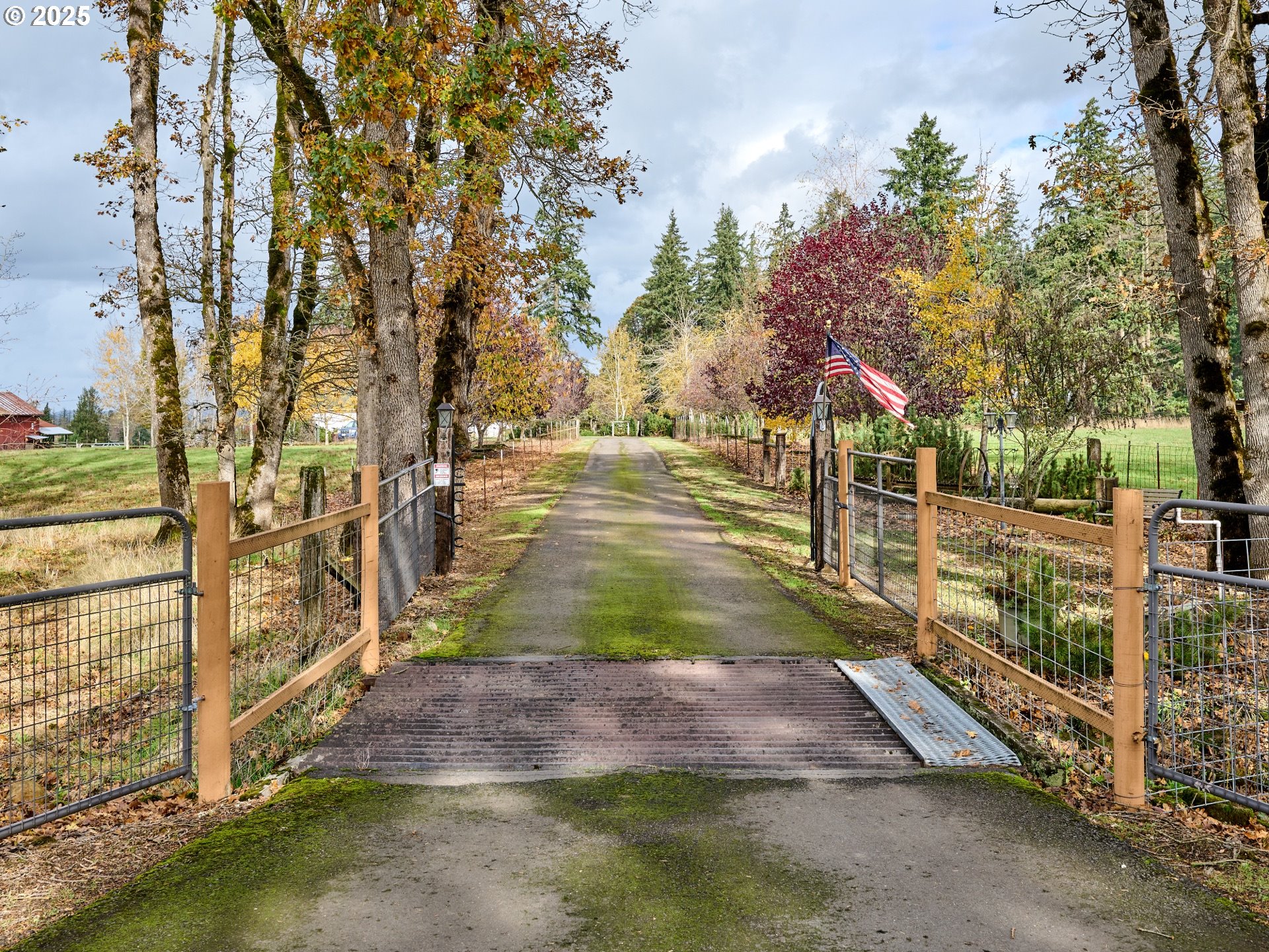 13595 South Warrick Road Molalla, OR 97038 - Photo 38 of 48 a view of yard