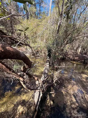 $235,000 | Lot 20 Creek Bluff Drive, Pace, FL 32571