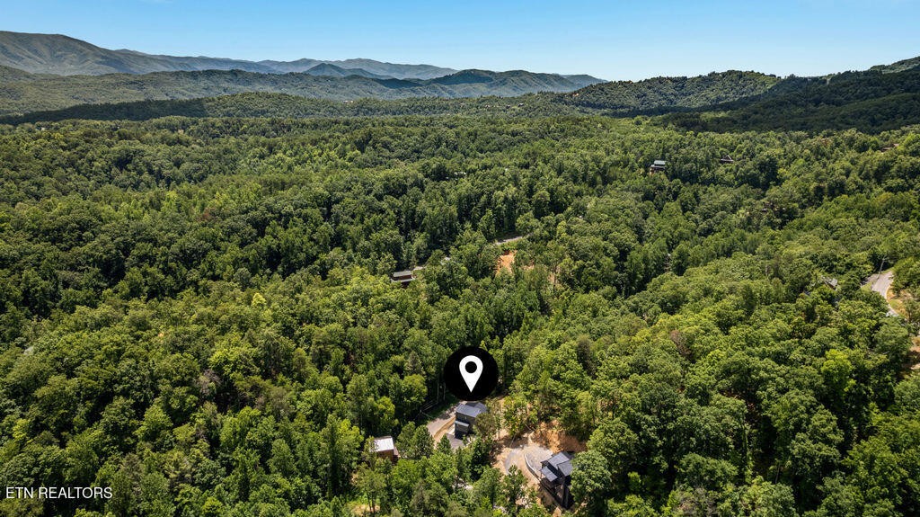 1620 Bear Valley Road Sevierville, TN 37876 - Photo 11 of 60