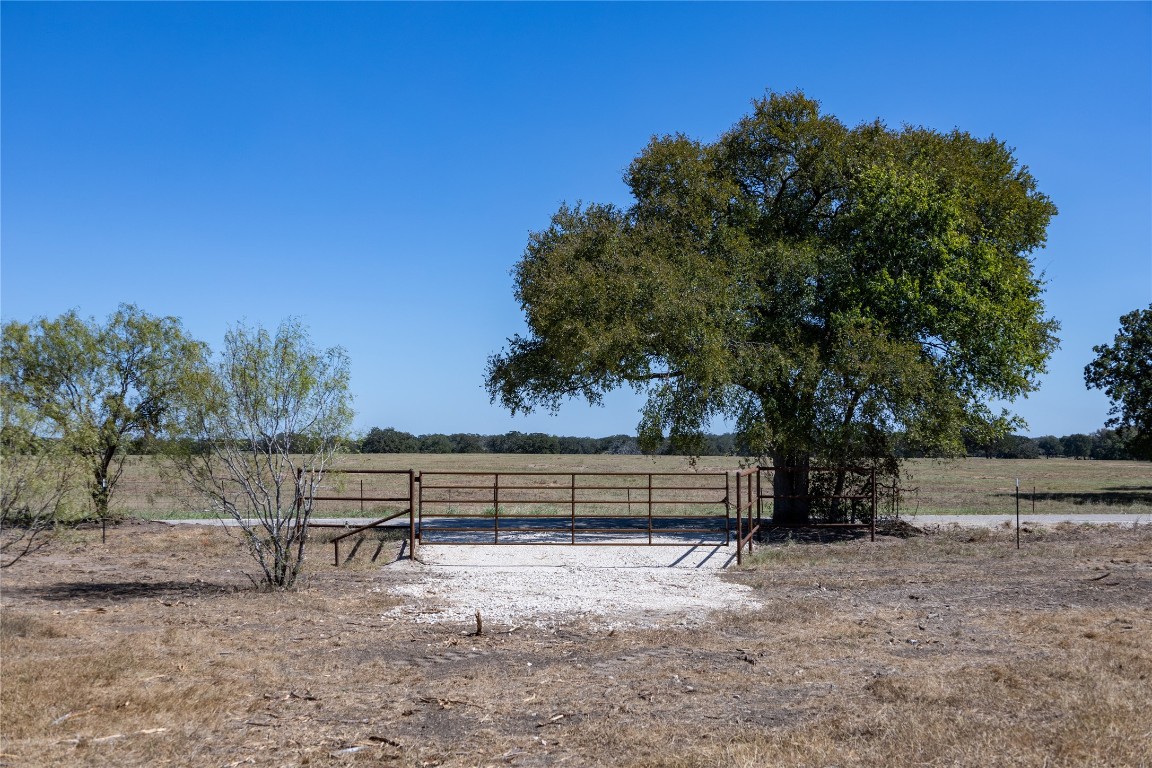 155 Spanish Oak Road Dale, TX 78616 - Photo 1 of 1 a view of park with bench and trees