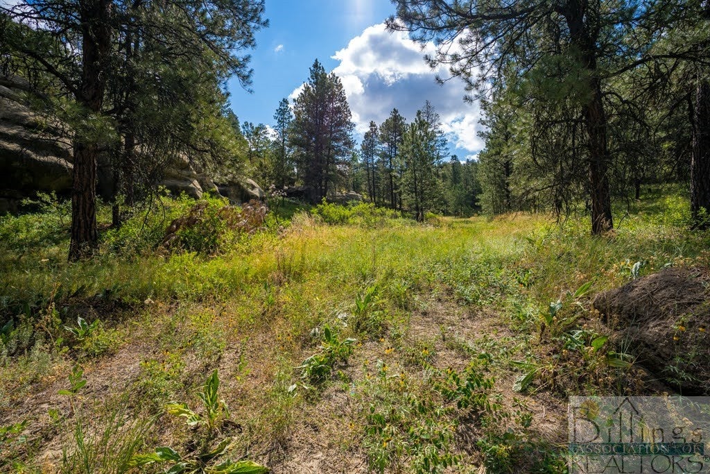 20-acres On Beard Road Roundup, MT 59072 - Photo 1 of 1 Gallery Image 1