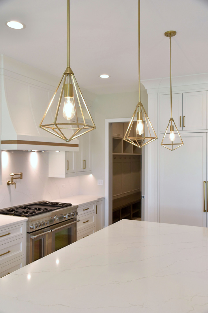 246 Geneva Avenue Elmhurst, IL 60126 - Photo 5 of 17