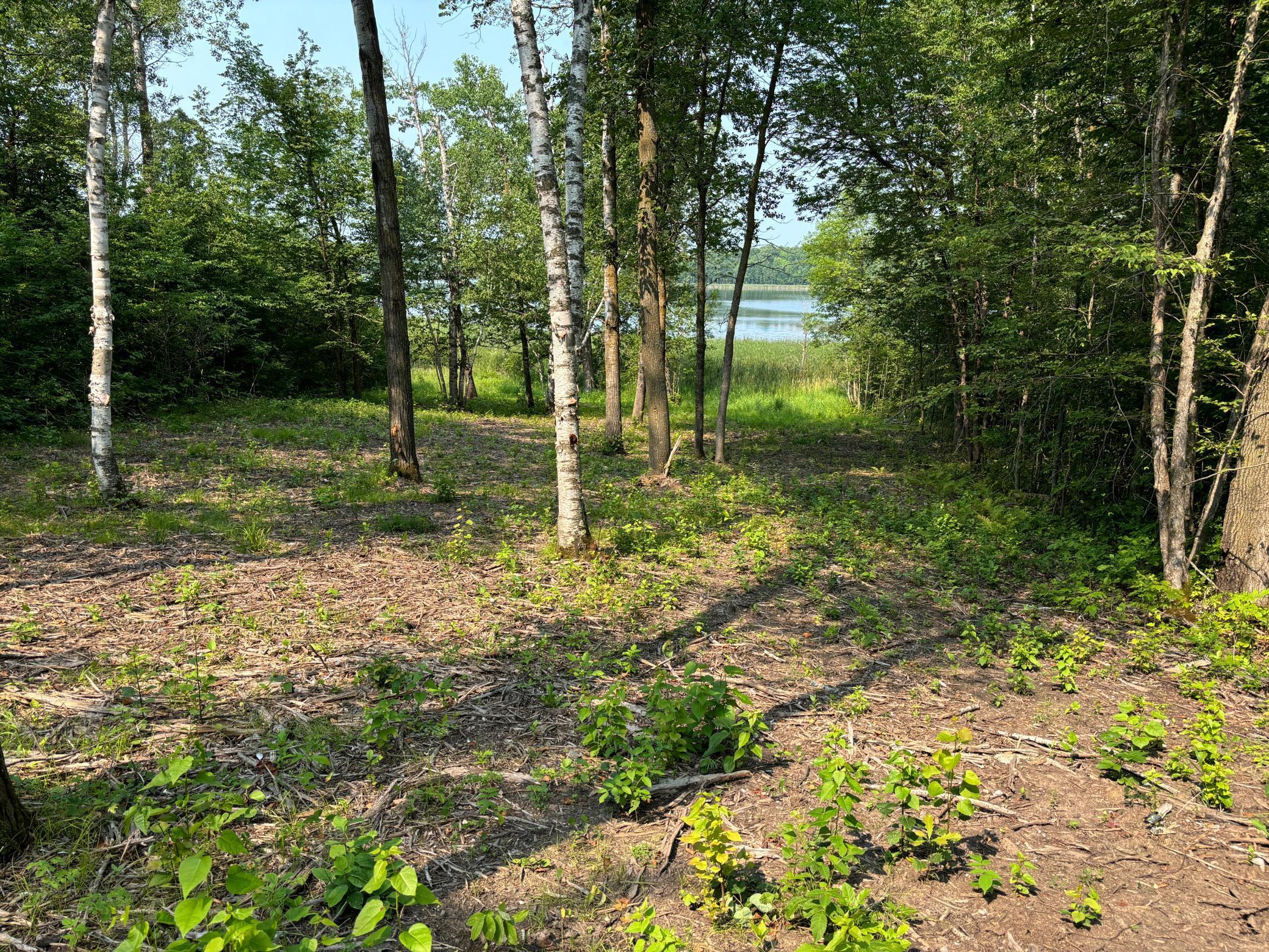 1254 Island Lake Road Lengby, MN 56651 - Photo 2 of 6