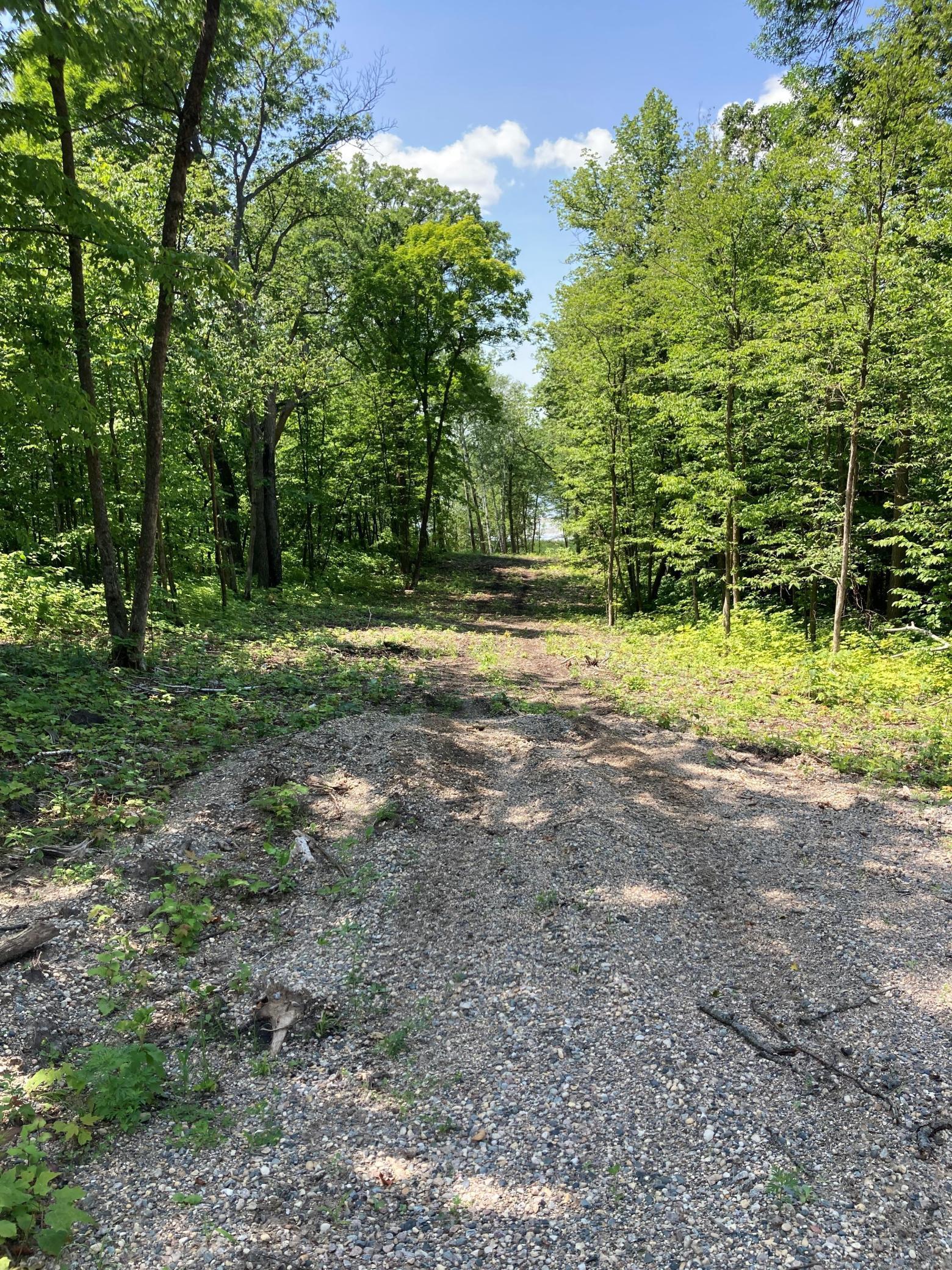 1254 Island Lake Road Lengby, MN 56651 - Photo 3 of 6