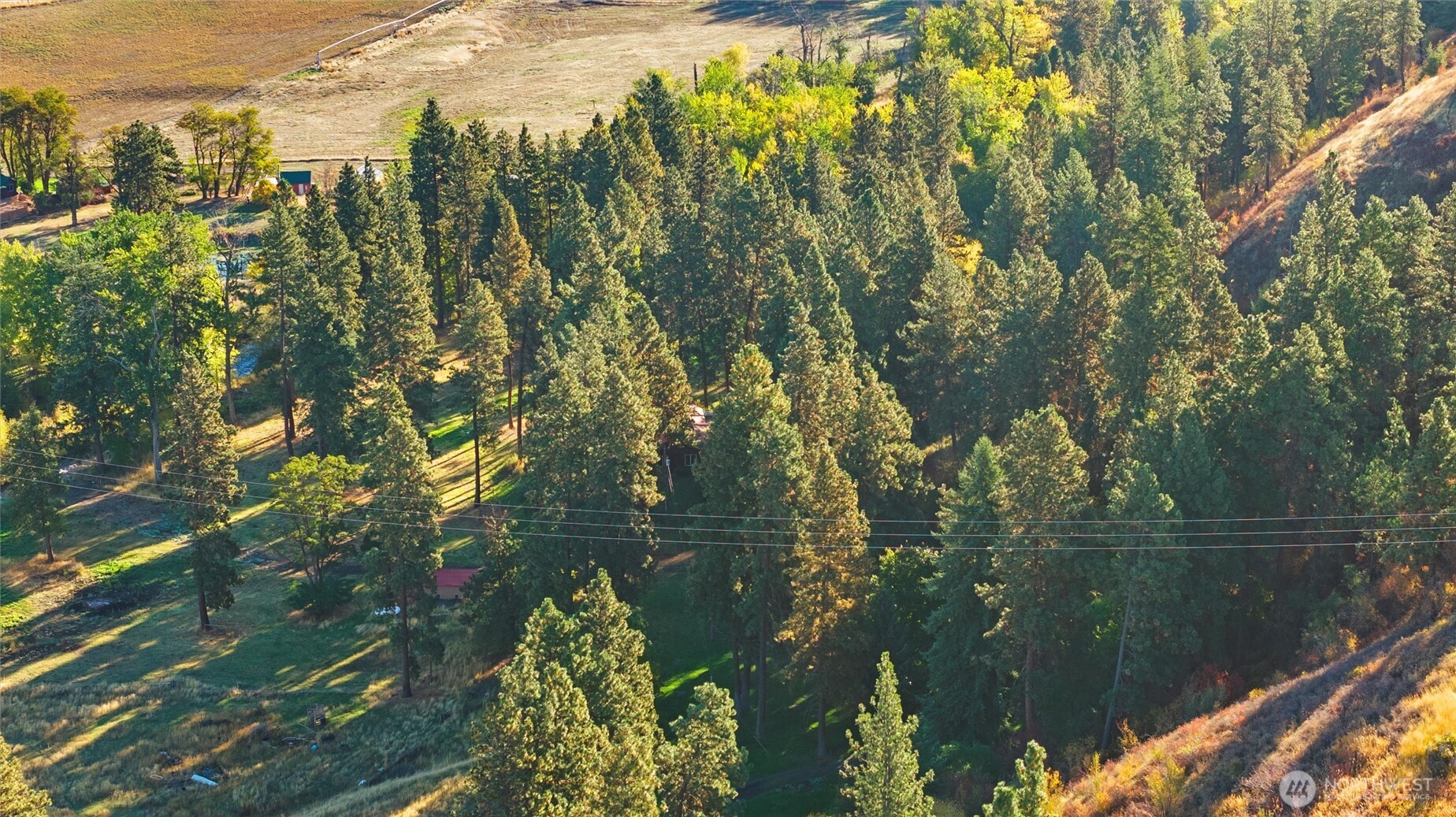 106 Wolf Ridge Lane Dayton, WA 99328 - Photo 36 of 39 a view of a lake