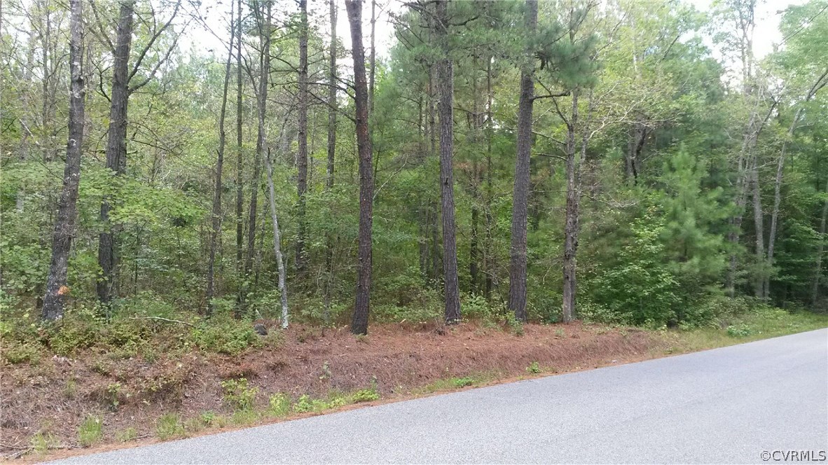 10200 Beaver Bridge Road Chesterfield, VA 23838 - Photo 3 of 4 a view of a forest with trees