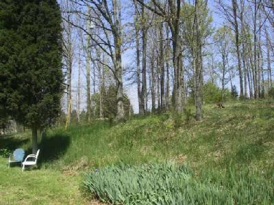 678 Clay Ridge Road Alexandria, KY 41001 - Photo 7 of 7 Gallery Image 7
