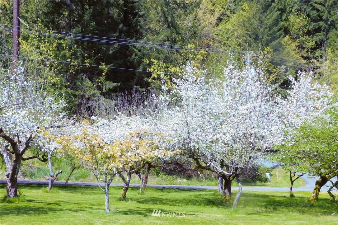 1111 Kalama River Road Kalama, WA 98625 - Photo 24 of 25 Gallery Image 24