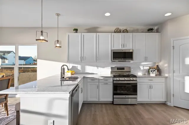 $464,616 | 308 Osprey Court, Lake St. Louis, MO 63367