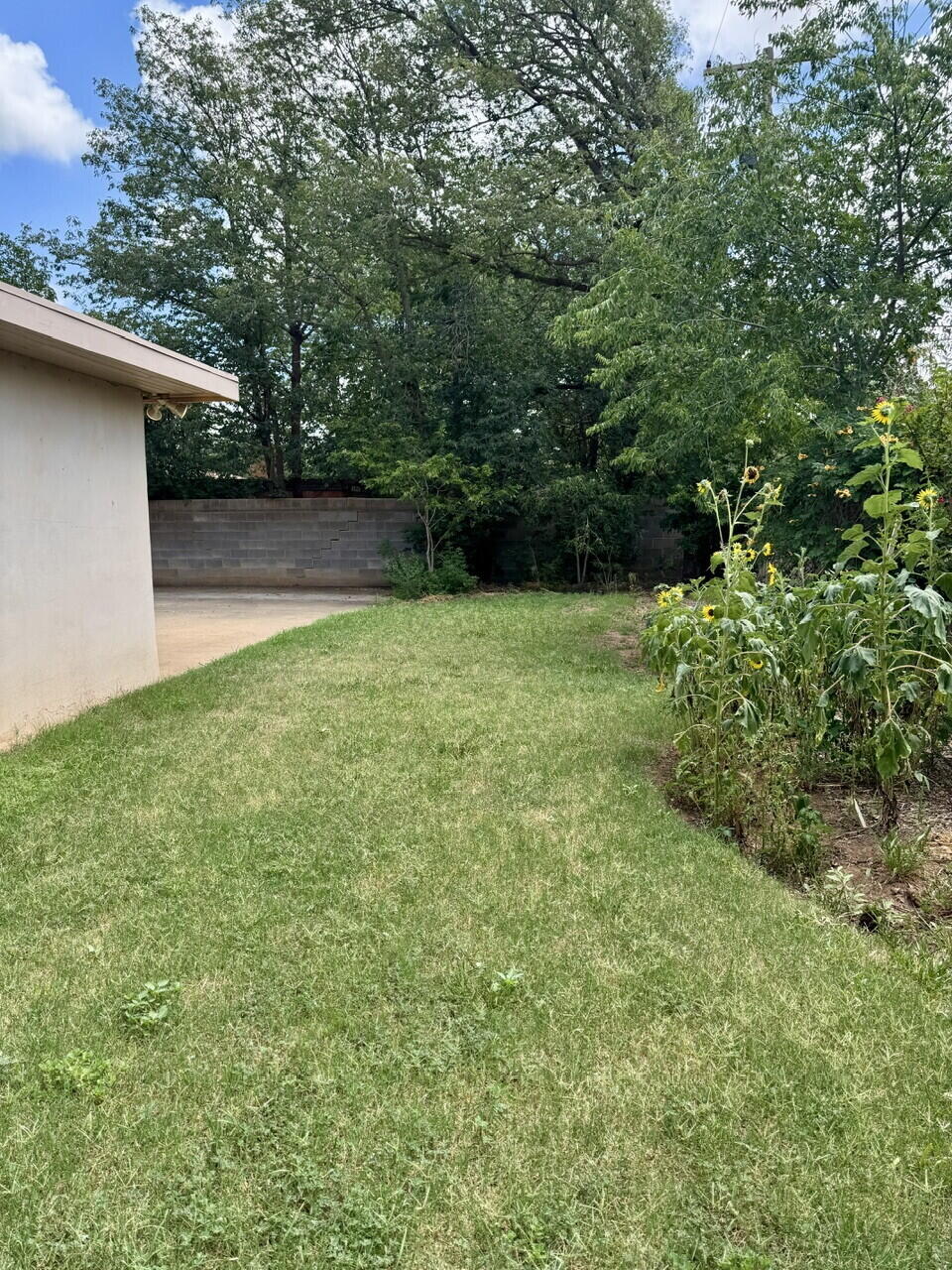 4807 9th Street Lubbock, TX 79416 - Photo 26 of 27 IMG_3134
