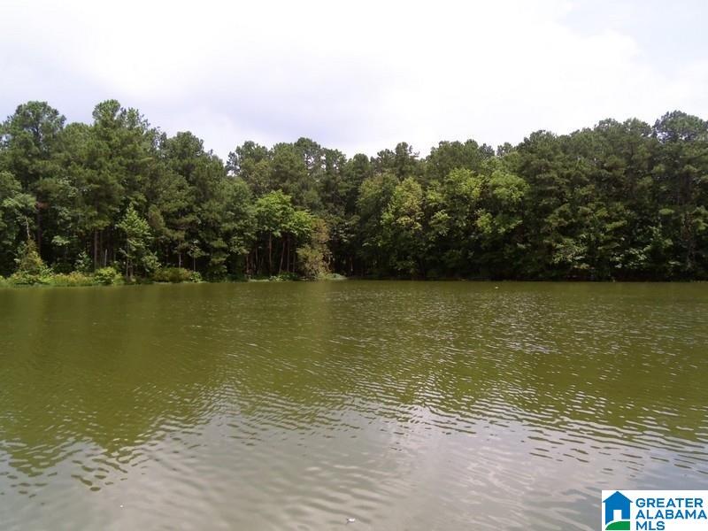 131 County Road, Unit 8 Fort Payne, AL 35967 - Photo 3 of 5