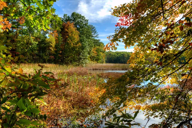 $37,170 | 6962 Railway Court, Richland, MI 49083